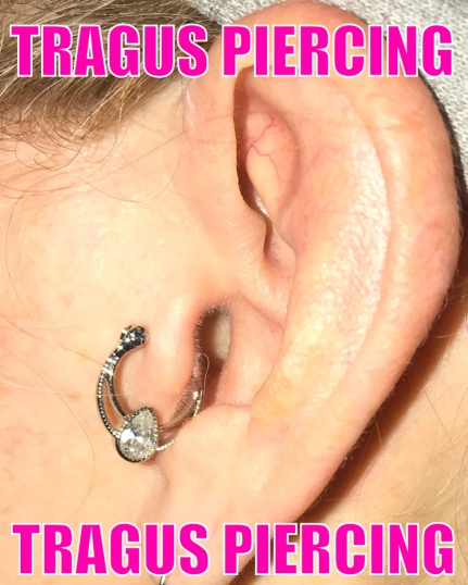 piercing shops piercings near me body piercing near me  piercing shops