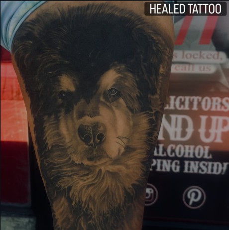 realism dog portrait tattoo waxahachie tx