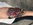 realism-tattoo-waxahachie-tx.jpg waxahachie-tattoo-cover-up.jpg